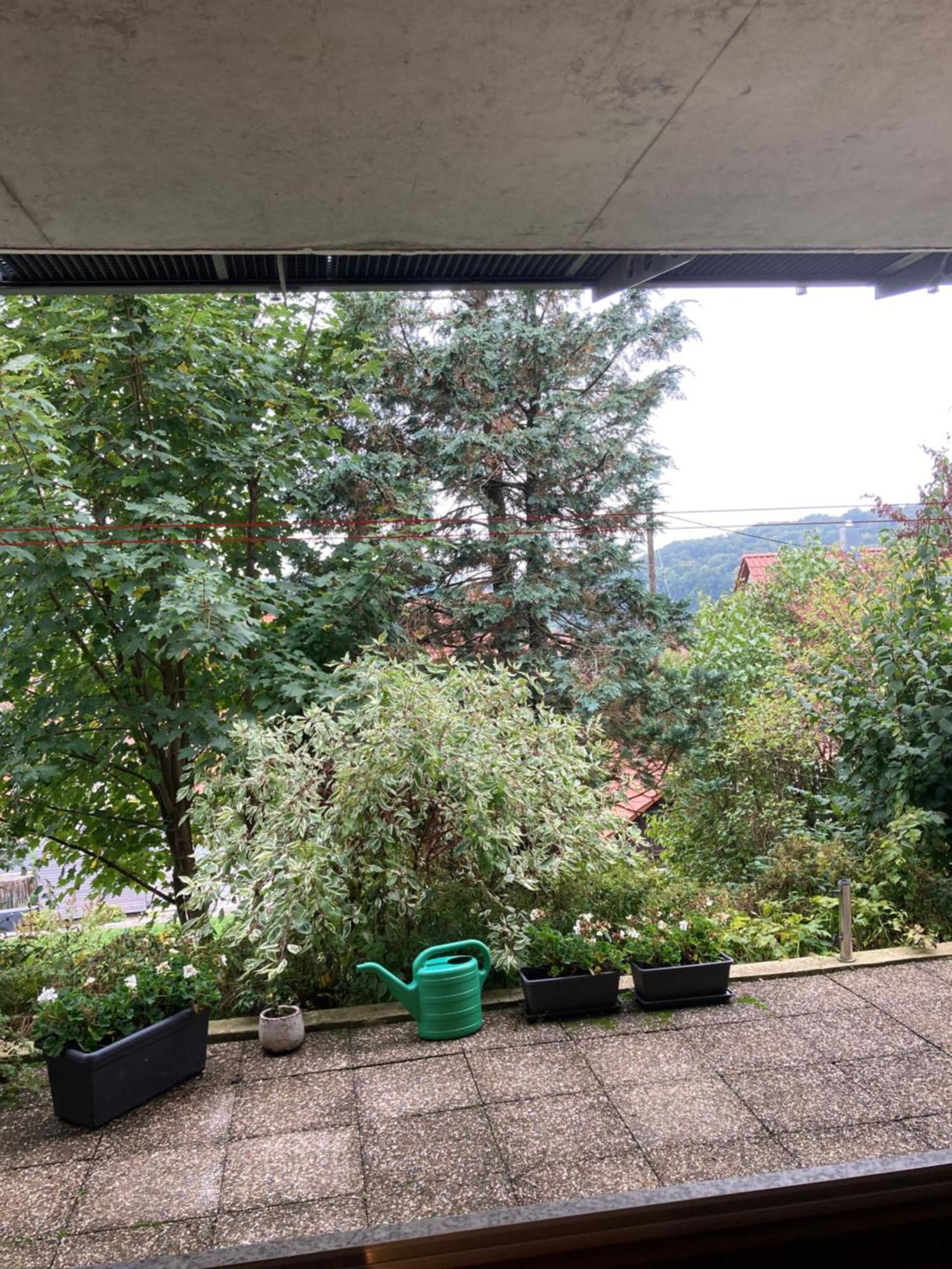 Lichtdurchflutete Ferienwohnung Sankt Johann  Exterior photo